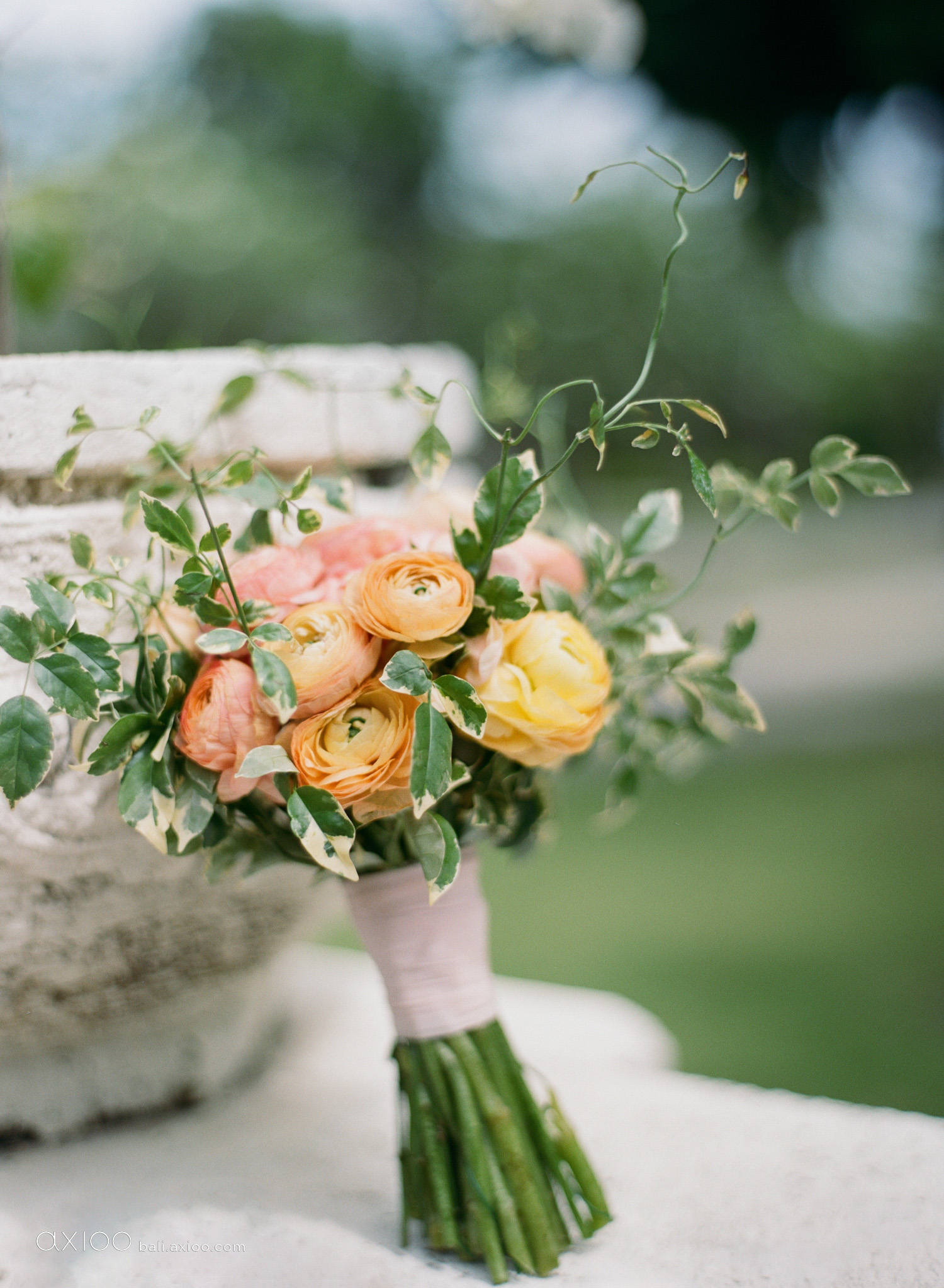 Axioo: A Wedding on Film in Bali: The AXIOO Perspective